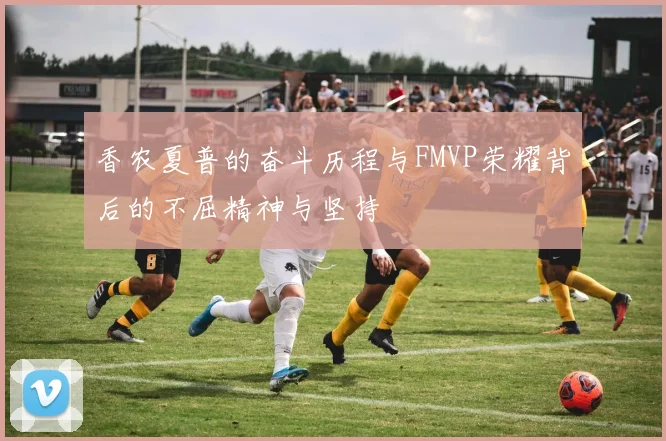 香农夏普的奋斗历程与FMVP荣耀背后的不屈精神与坚持